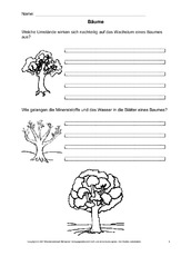 Arbeitsblatt-Bäume-5.pdf